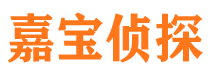 维扬市侦探公司